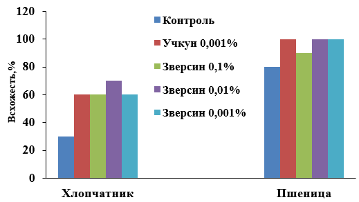 Влияние зверсина на всхожесть семян